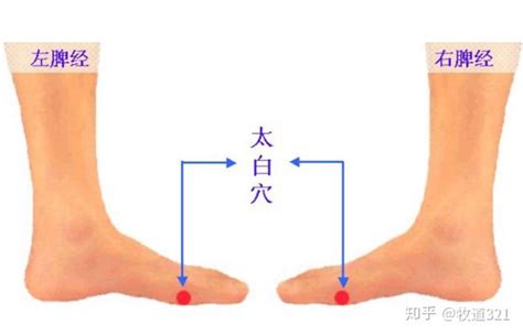 按摩五行|每条经络五个穴位“简单实用”让五脏六腑不生病